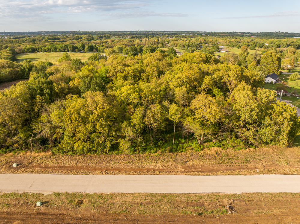 Premier Homesite Acreages in Ray-Pec Schools: Lot 1