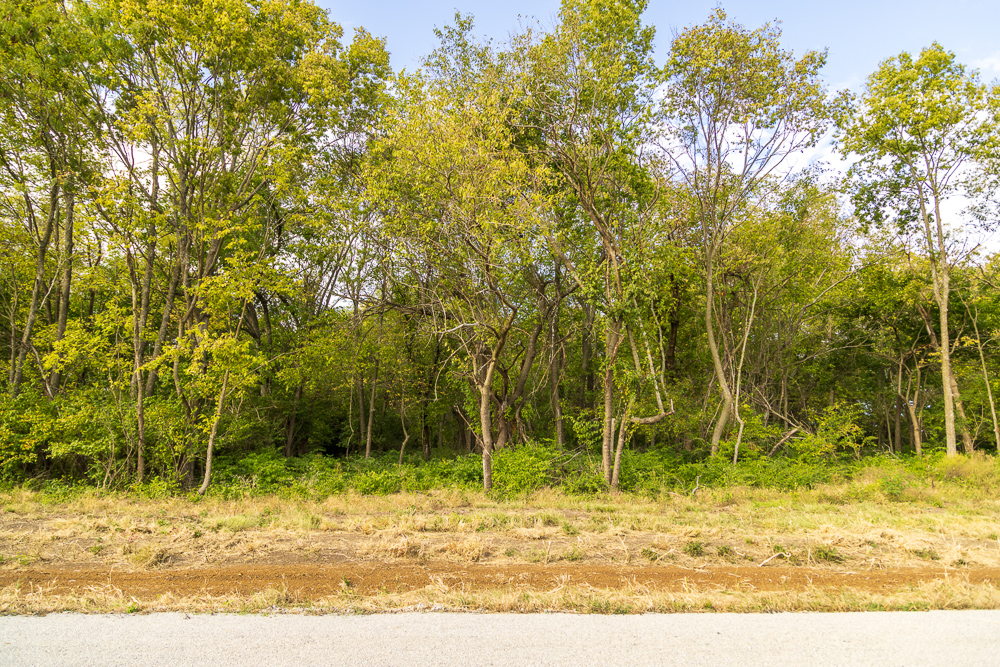 Premier Homesite Acreages in Ray-Pec Schools: Lot 1