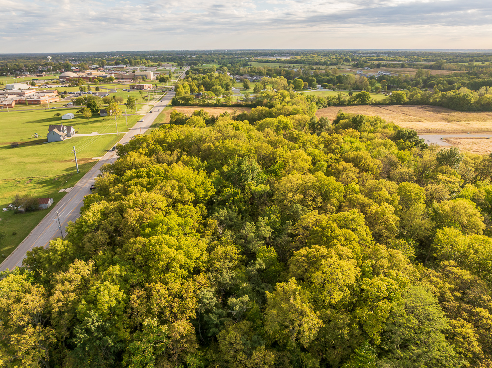 Premier Homesite Acreages in Ray-Pec Schools: Lot 1