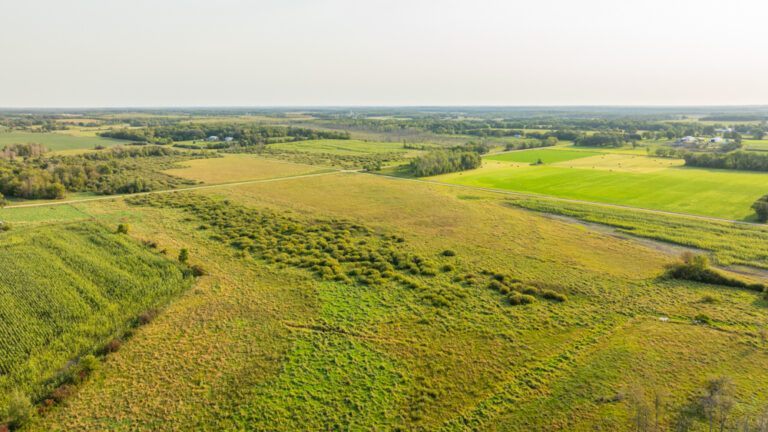 115 +/- Acres in Todd County with Diverse Income and Hunting