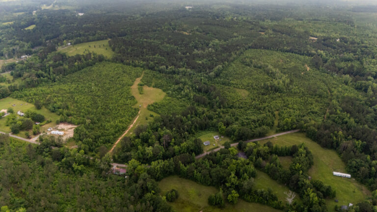 52 +/- Acre Lauderdale County Hunting Property
