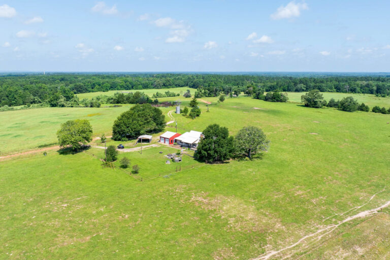 325 +/- Acre Anderson County Ranch with Endless Opportunity