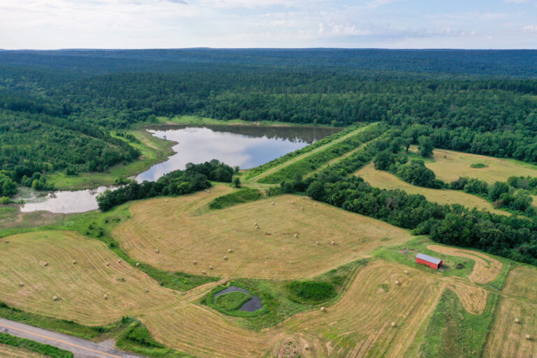 303 +/- Acres with National Forest Boundary and 25 +/- Acre Private Lake