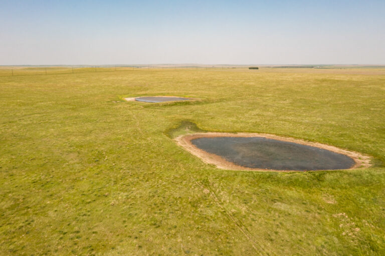 Highway 47 Pasture Ground