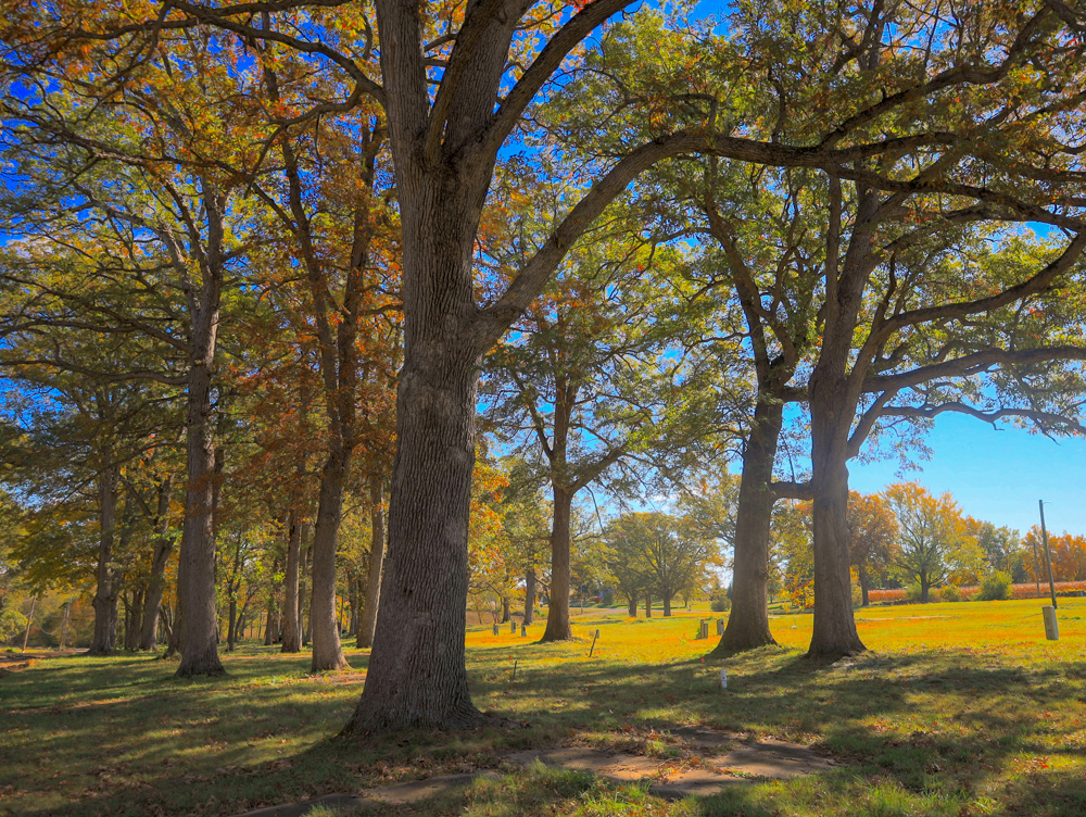 Camp Cade, A Developable Campground Opportunity in Northern Illinois