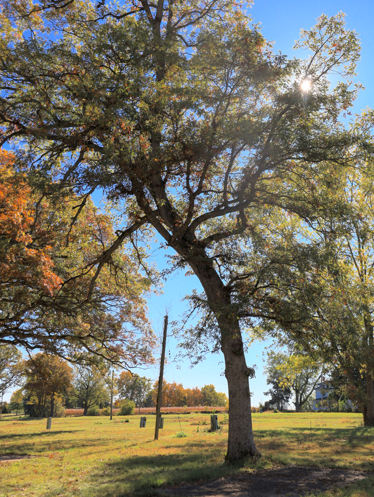 Camp Cade, A Developable Campground Opportunity in Northern Illinois