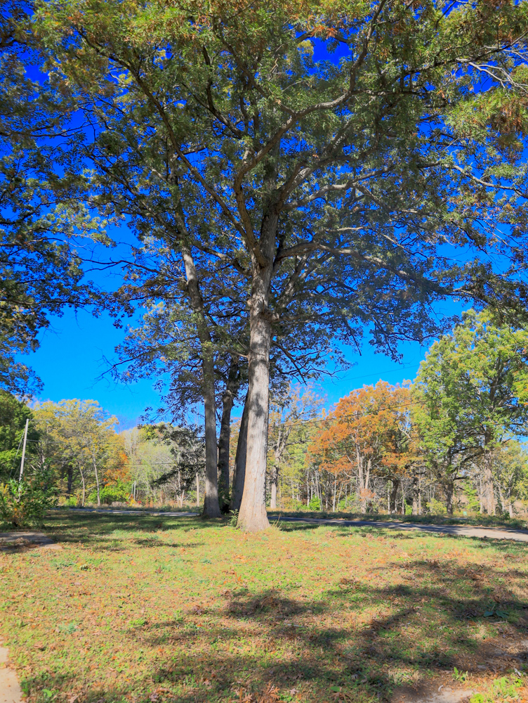 Camp Cade, A Developable Campground Opportunity in Northern Illinois