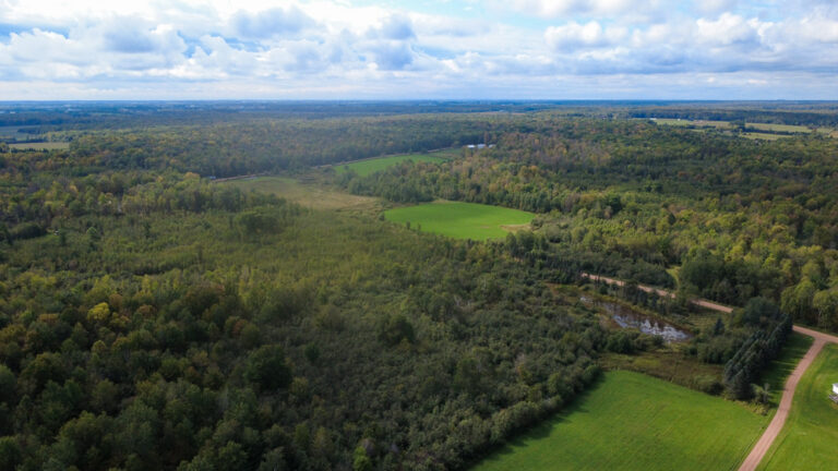 Rib River Ranch Estate