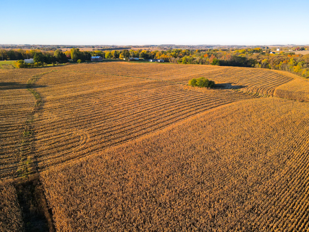 67.89 +/- Highly Tillable Acres in Stephenson County