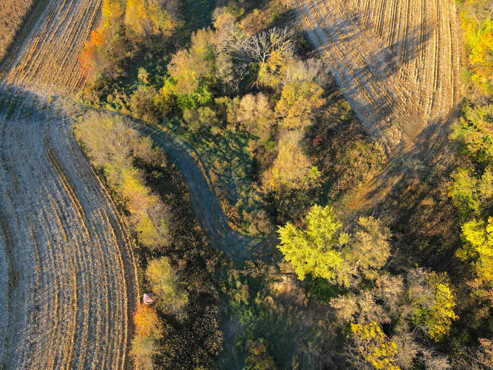 67.89 +/- Highly Tillable Acres in Stephenson County