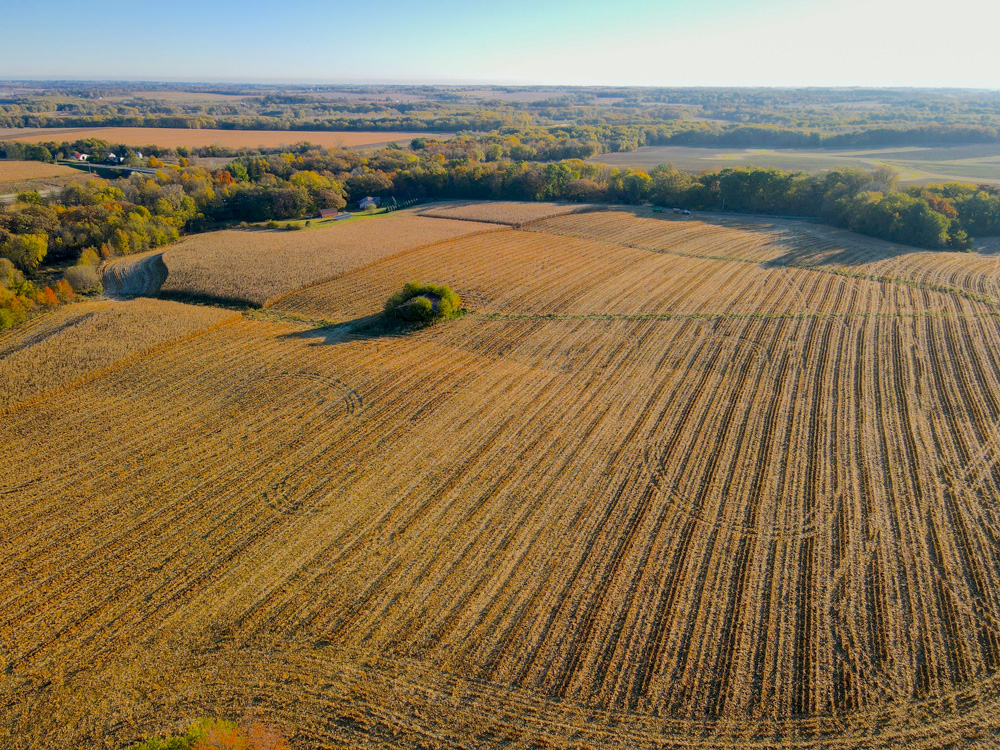 67.89 +/- Highly Tillable Acres in Stephenson County