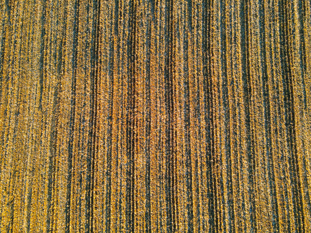 67.89 +/- Highly Tillable Acres in Stephenson County