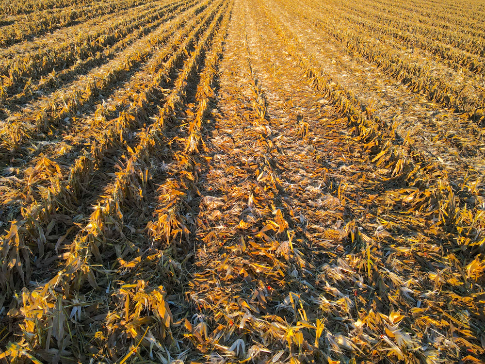 67.89 +/- Highly Tillable Acres in Stephenson County