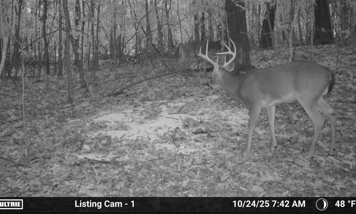 86 Acres of Recreation in the Ozarks