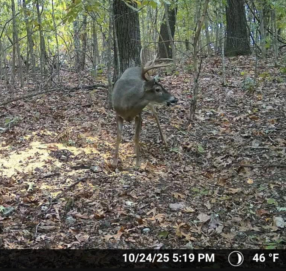 86 Acres of Recreation in the Ozarks