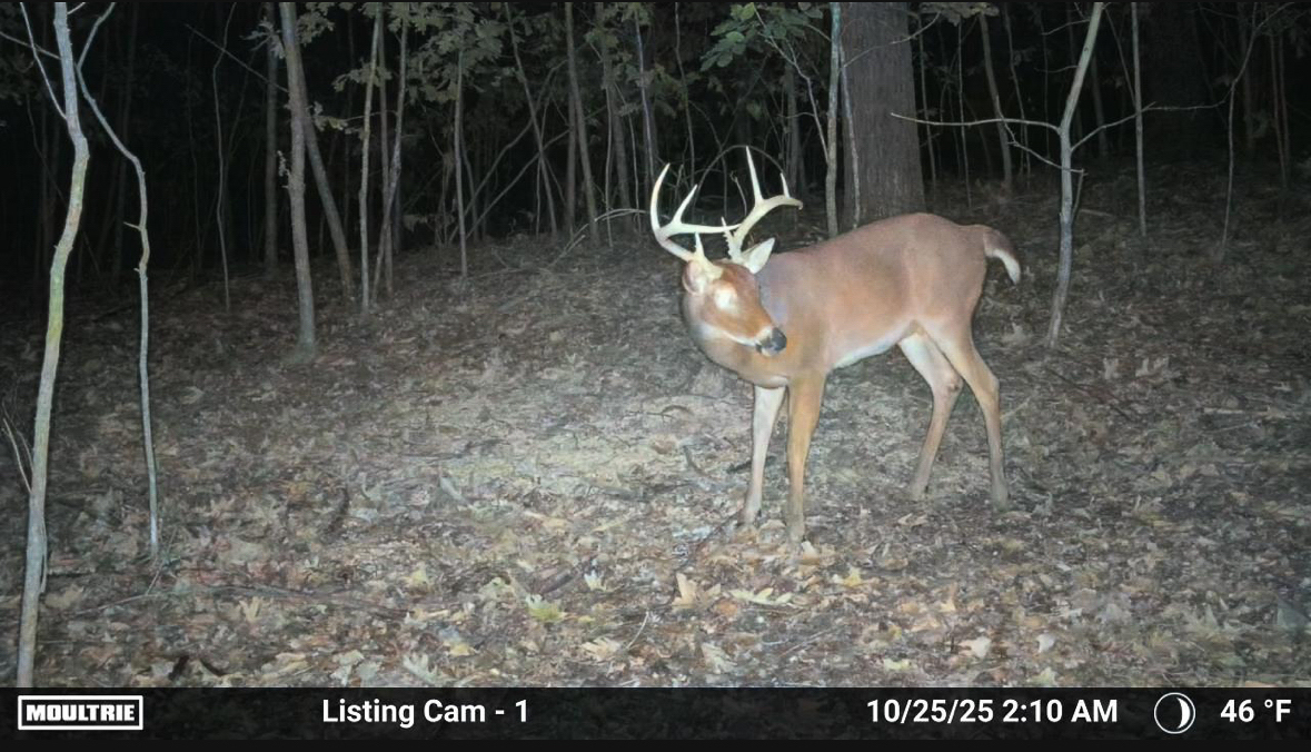 86 Acres of Recreation in the Ozarks