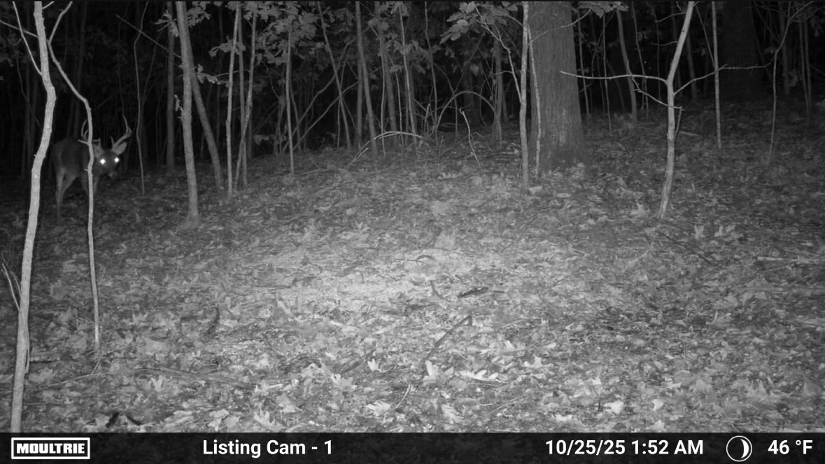 86 Acres of Recreation in the Ozarks