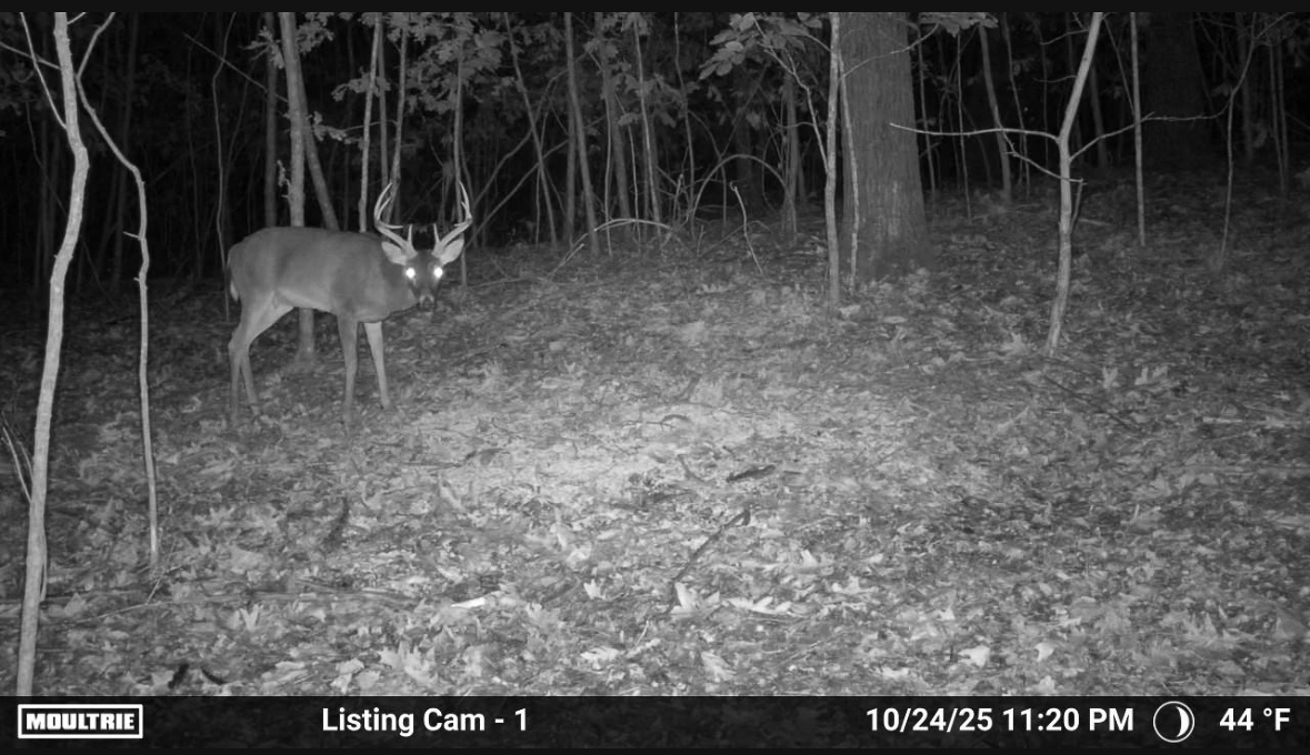 86 Acres of Recreation in the Ozarks