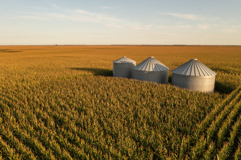 Large Income-Producing Farmland