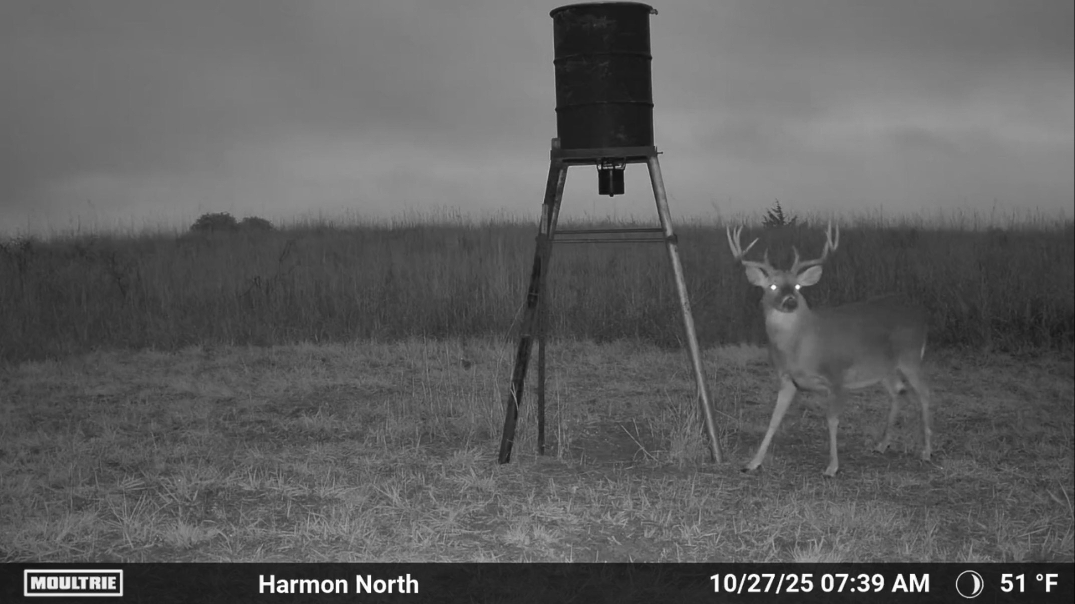 Ellis County Hunting Property