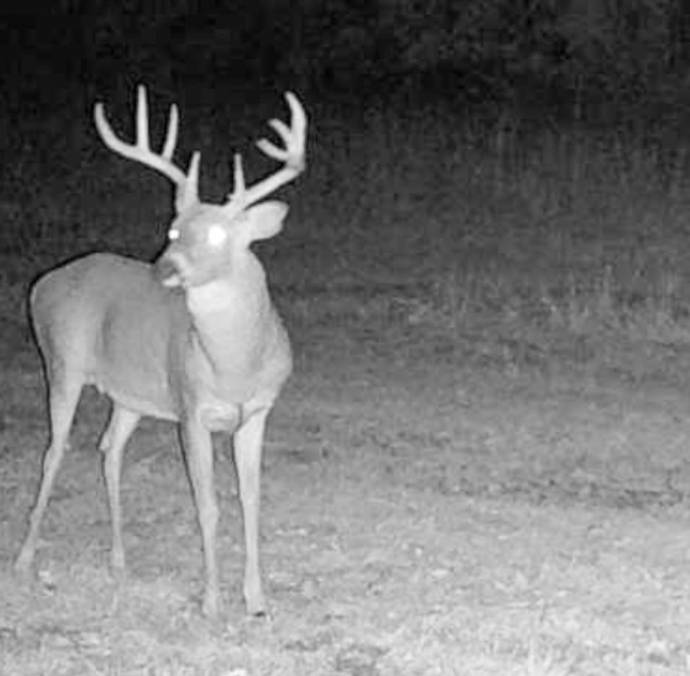 Premier Build Sites and Trophy Deer Habitat Near Carthage