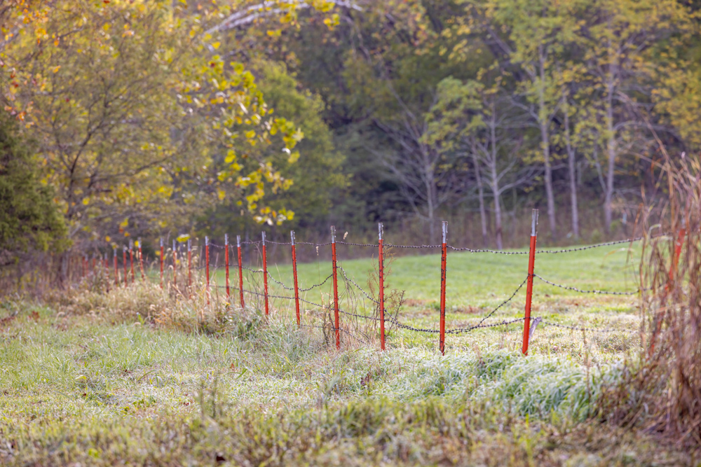 Turn-Key 160 Acres with Hurricane Creek, Timbered Ridges, and Pastureland