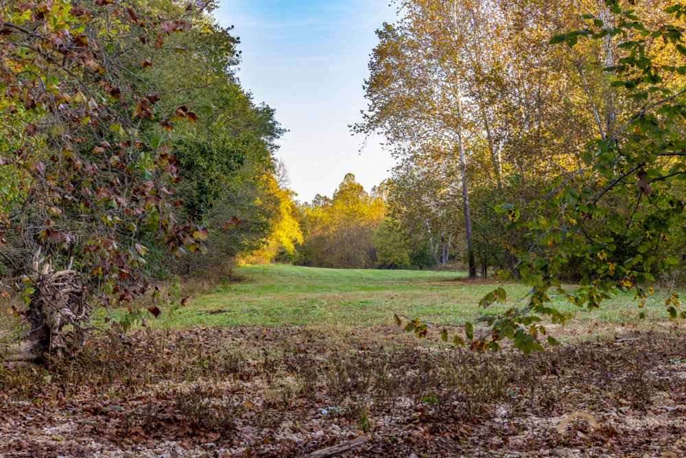 Turn-Key 160 Acres with Hurricane Creek, Timbered Ridges, and Pastureland