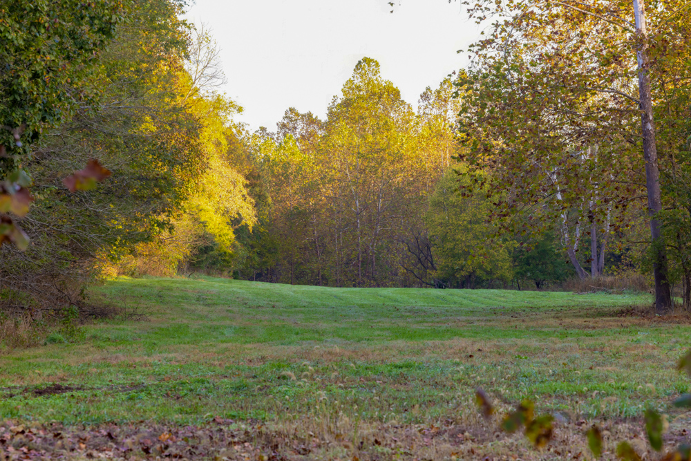 Turn-Key 160 Acres with Hurricane Creek, Timbered Ridges, and Pastureland