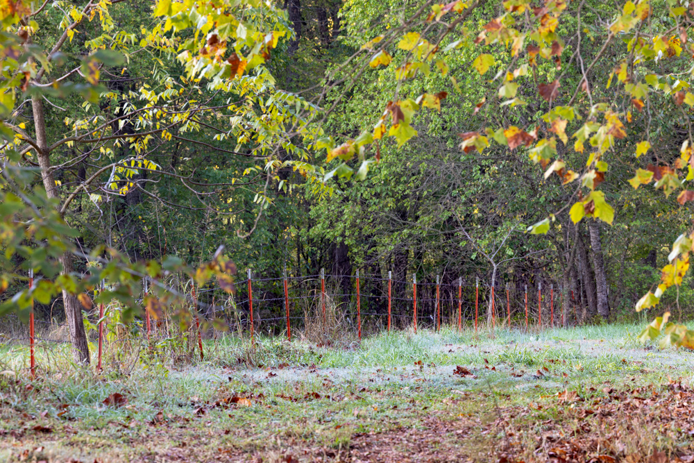 Turn-Key 160 Acres with Hurricane Creek, Timbered Ridges, and Pastureland