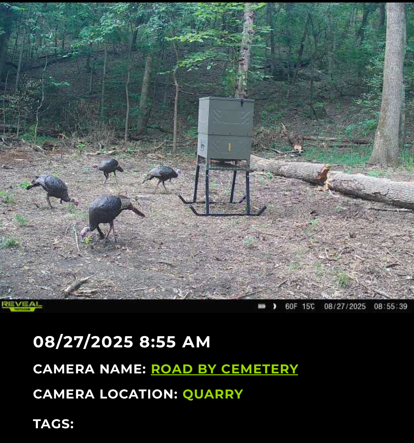 Big Bucks, Big Timber, and Big Income