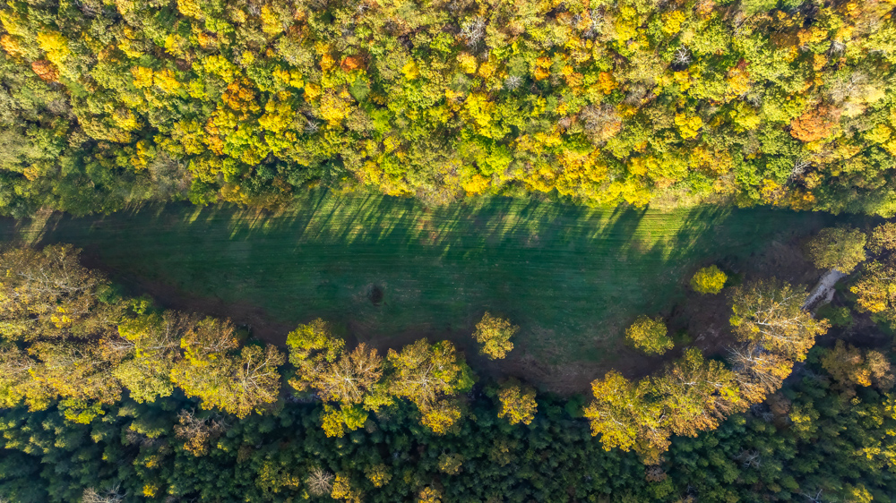 Turn-Key 160 Acres with Hurricane Creek, Timbered Ridges, and Pastureland