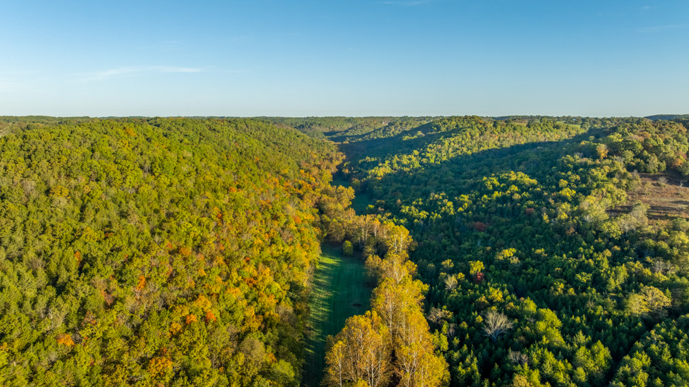 Turn-Key 160 Acres with Hurricane Creek, Timbered Ridges, and Pastureland