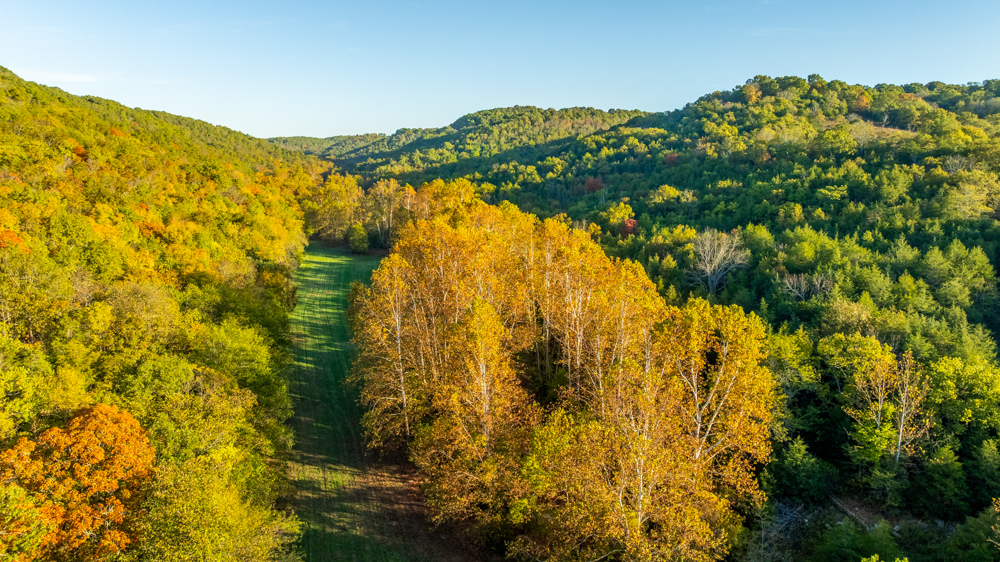 Turn-Key 160 Acres with Hurricane Creek, Timbered Ridges, and Pastureland