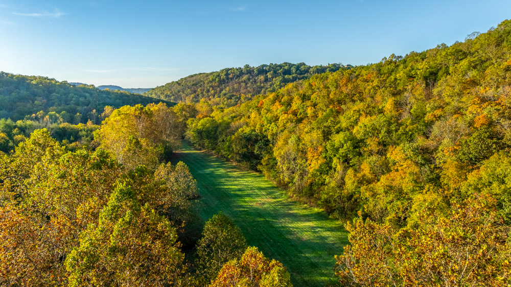 Turn-Key 160 Acres with Hurricane Creek, Timbered Ridges, and Pastureland