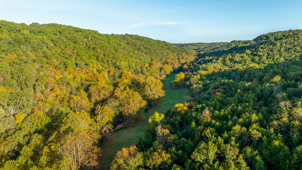 Turn-Key 160 Acres with Hurricane Creek, Timbered Ridges, and Pastureland