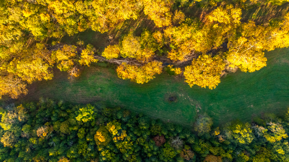 Turn-Key 160 Acres with Hurricane Creek, Timbered Ridges, and Pastureland