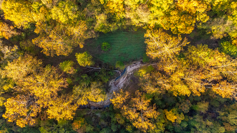 Turn-Key 160 Acres with Hurricane Creek, Timbered Ridges, and Pastureland