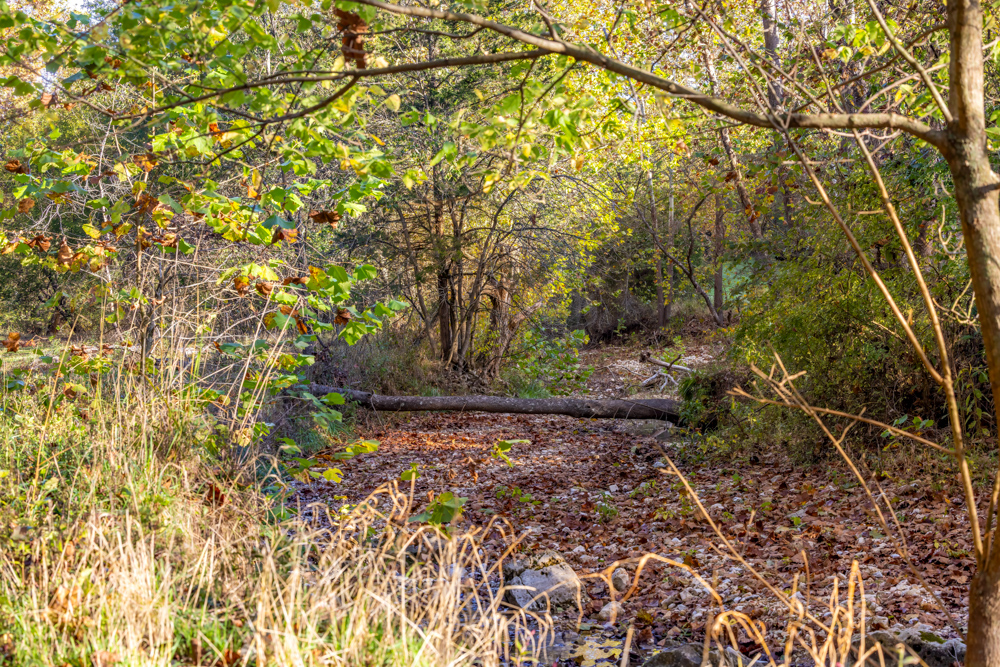 Turn-Key 160 Acres with Hurricane Creek, Timbered Ridges, and Pastureland