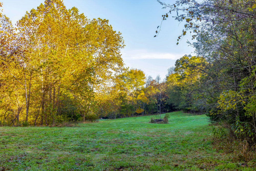 Turn-Key 160 Acres with Hurricane Creek, Timbered Ridges, and Pastureland