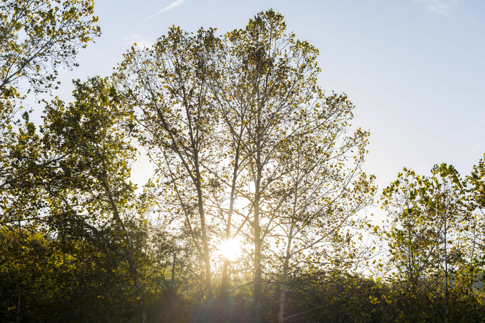 Turn-Key 160 Acres with Hurricane Creek, Timbered Ridges, and Pastureland