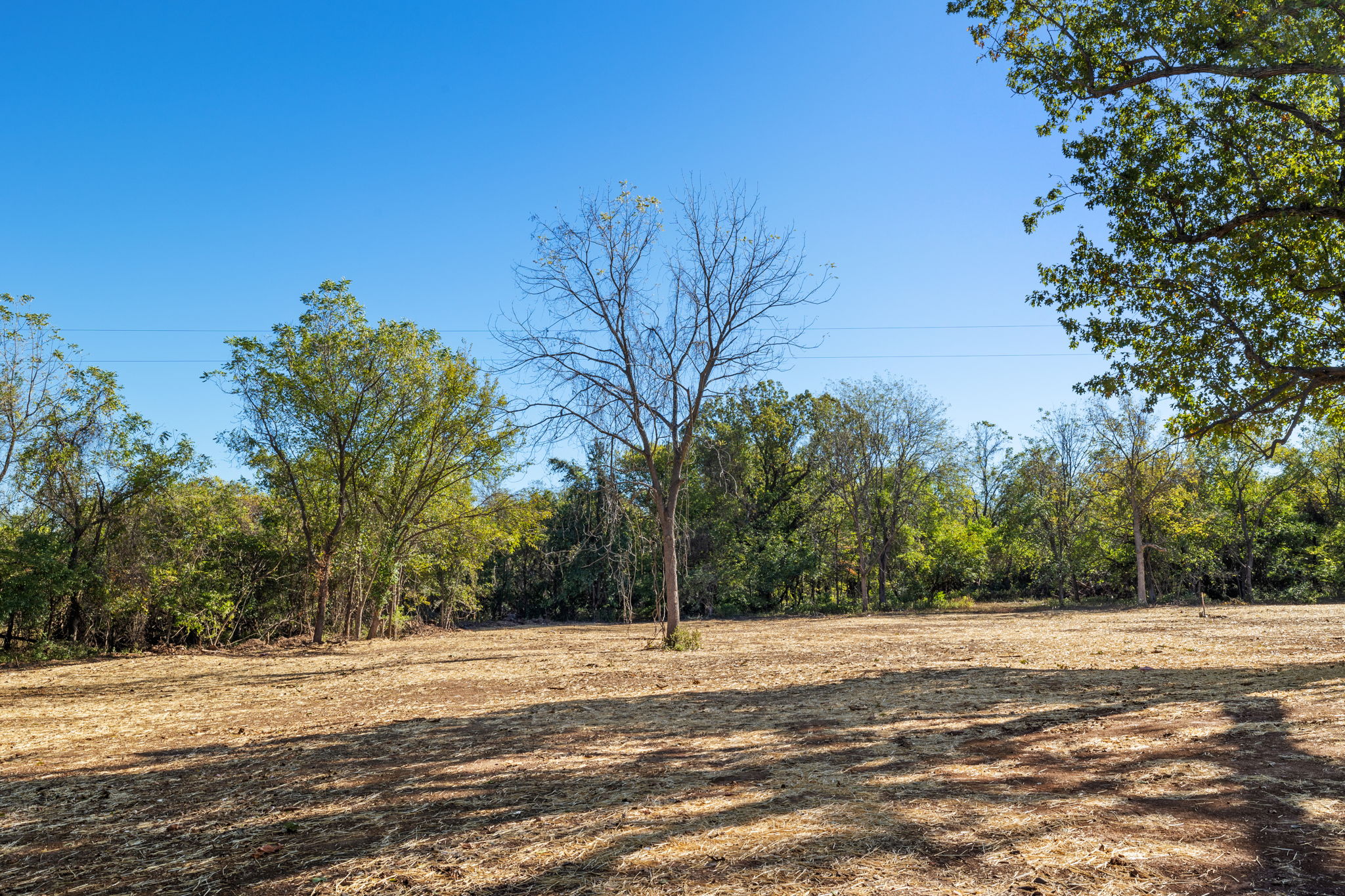 An Ozarks Retreat with Room to Roam