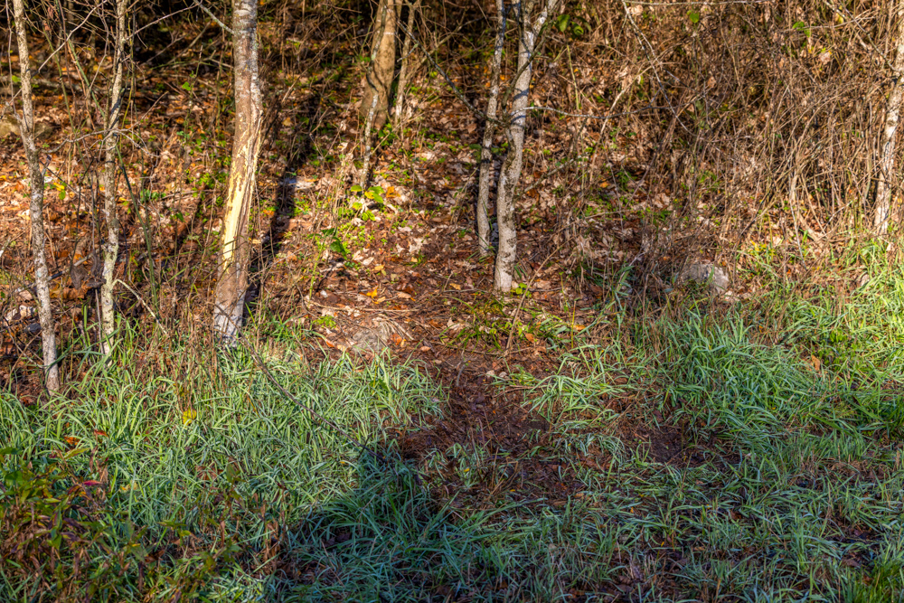 Turn-Key 160 Acres with Hurricane Creek, Timbered Ridges, and Pastureland