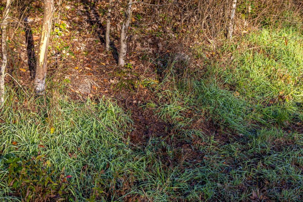 Turn-Key 160 Acres with Hurricane Creek, Timbered Ridges, and Pastureland