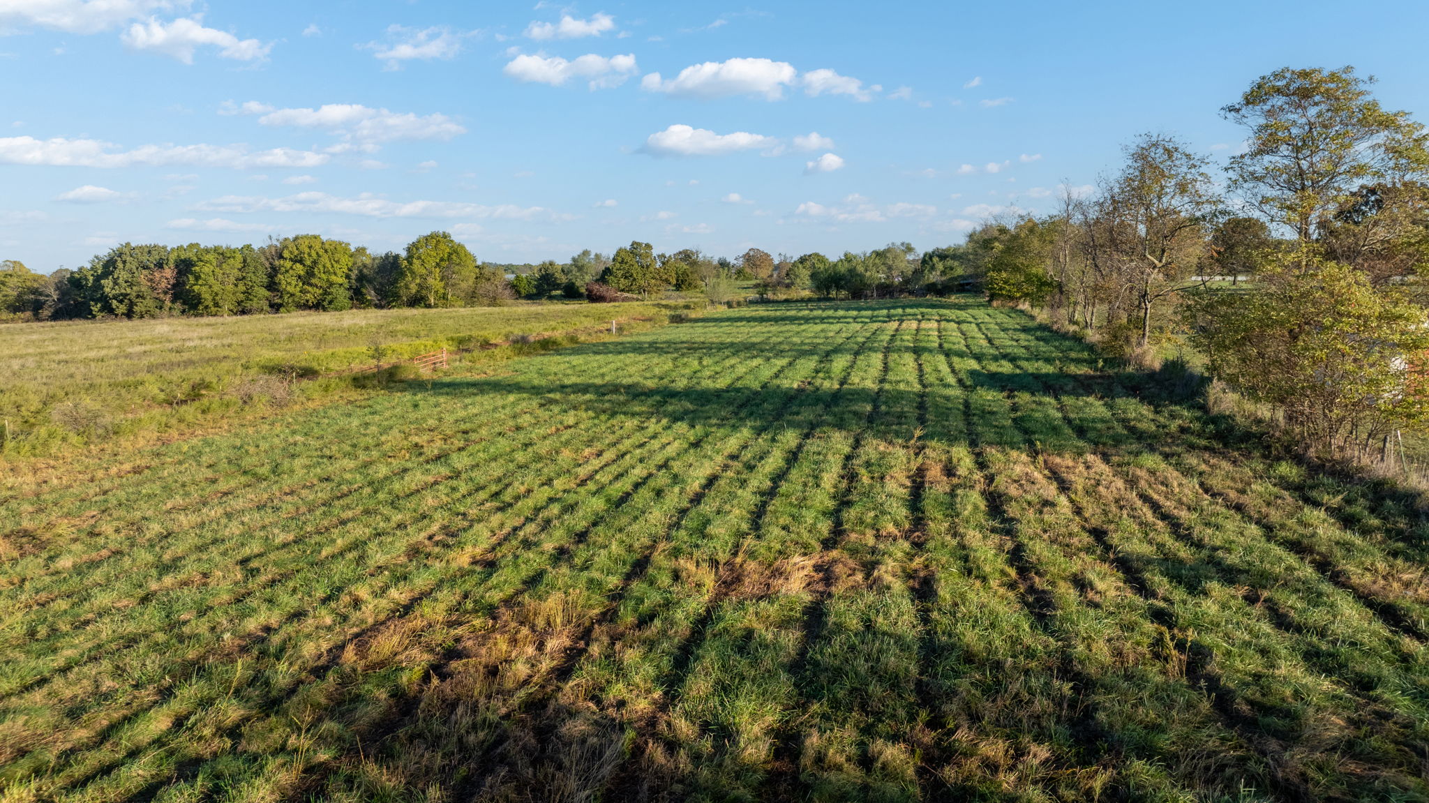 Dade County Hobby Farm Opportunity on 29.7 +/- Acres