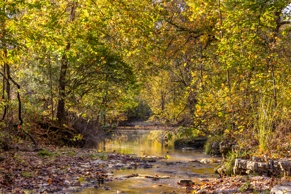 Turn-Key 160 Acres with Hurricane Creek, Timbered Ridges, and Pastureland