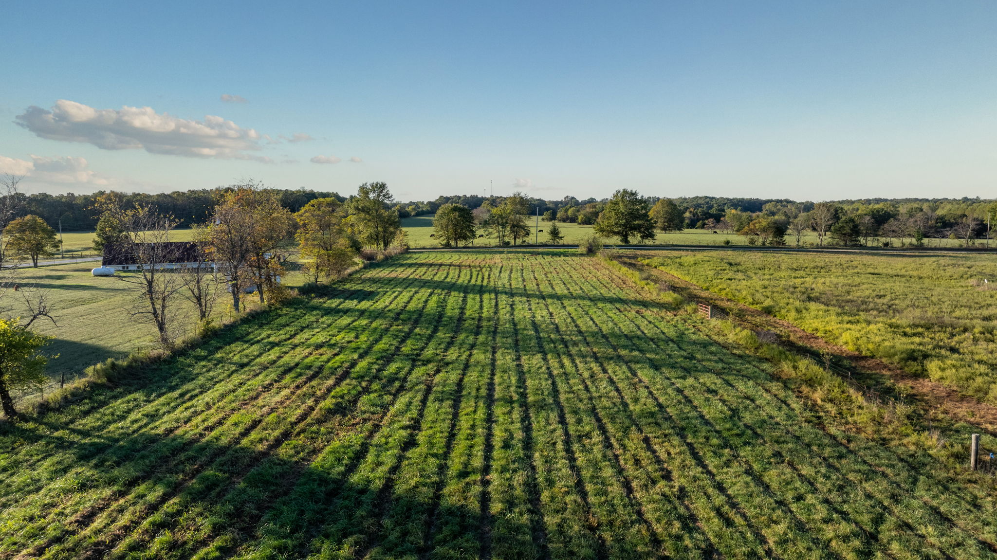 Dade County Hobby Farm Opportunity on 29.7 +/- Acres
