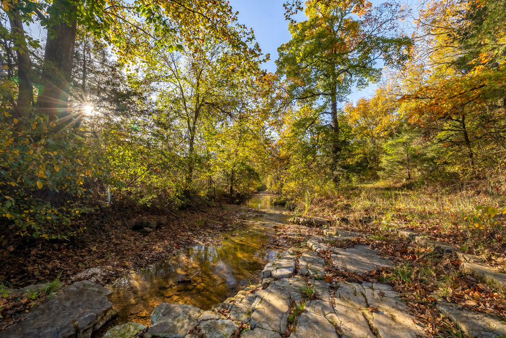 Turn-Key 160 Acres with Hurricane Creek, Timbered Ridges, and Pastureland