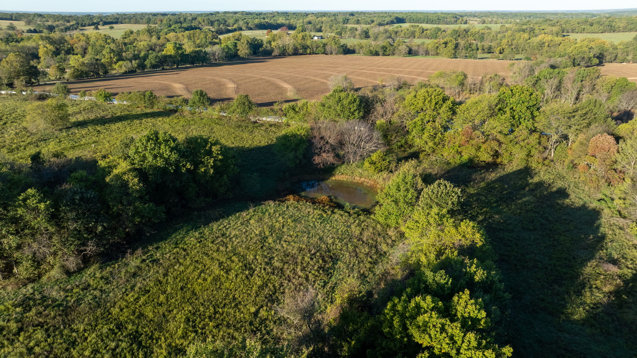Dade County Hobby Farm Opportunity on 29.7 +/- Acres