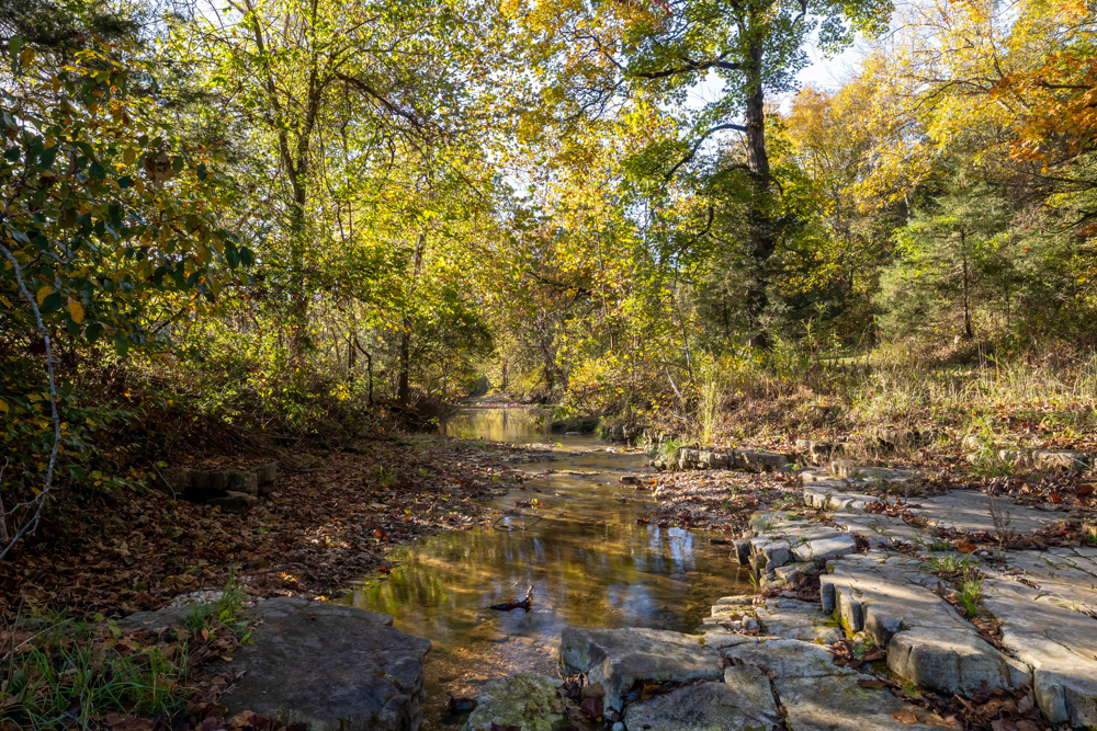 Turn-Key 160 Acres with Hurricane Creek, Timbered Ridges, and Pastureland