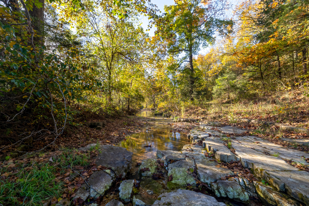 Turn-Key 160 Acres with Hurricane Creek, Timbered Ridges, and Pastureland